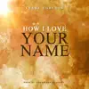 Shane Ugbebor - How I Love Your Name - Single